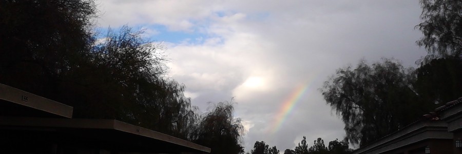 rainbow, unique