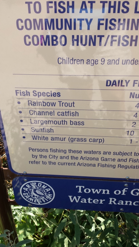these are the fish stocked in the lake